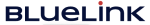 BlueLink International CZ
